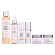 Vitamin C Brighter Skin 6 Step System